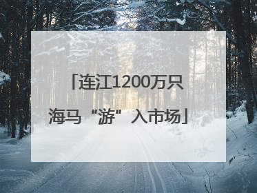 连江1200万只海马“游”入市场