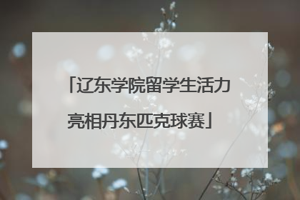 辽东学院留学生活力亮相丹东匹克球赛
