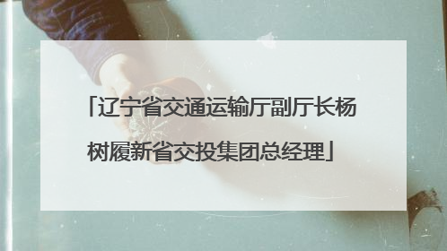 辽宁省交通运输厅副厅长杨树履新省交投集团总经理