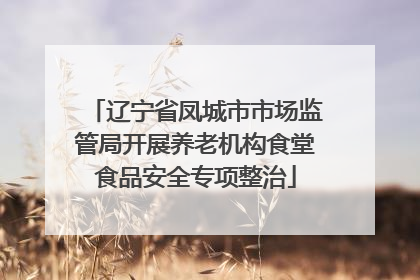 辽宁省凤城市市场监管局开展养老机构食堂食品安全专项整治