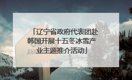 辽宁省政府代表团赴韩国开展十五冬冰雪产业主题推介活动