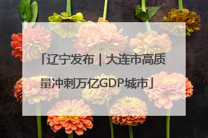 辽宁发布｜大连市高质量冲刺万亿GDP城市