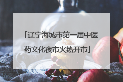 辽宁海城市第一届中医药文化夜市火热开市