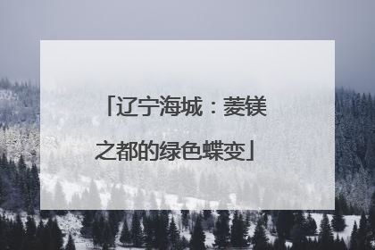 辽宁海城：菱镁之都的绿色蝶变