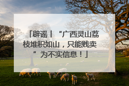 辟谣丨“广西灵山荔枝堆积如山，只能贱卖”为不实信息！
