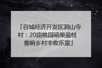 谷城经济开发区洞山寺村：20亩桃园硕果盈枝 奏响乡村丰收乐章