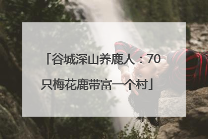 谷城深山养鹿人：70只梅花鹿带富一个村