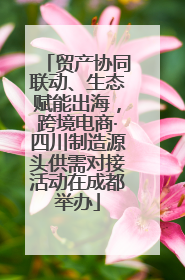 贸产协同联动、生态赋能出海，跨境电商·四川制造源头供需对接活动在成都举办