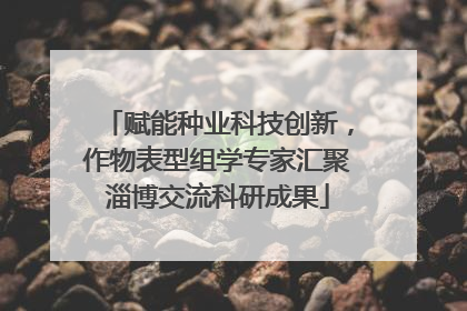 赋能种业科技创新，作物表型组学专家汇聚淄博交流科研成果