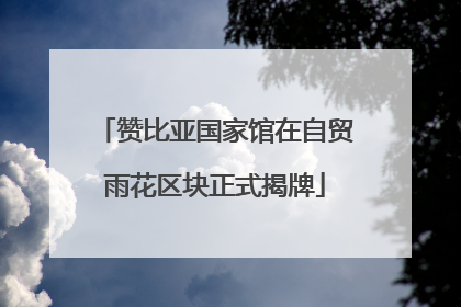赞比亚国家馆在自贸雨花区块正式揭牌