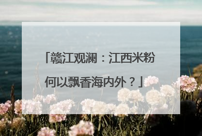赣江观澜：江西米粉何以飘香海内外？