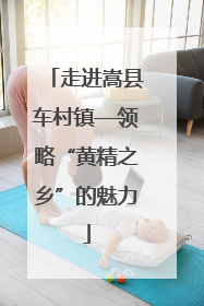 走进嵩县车村镇—领略“黄精之乡”的魅力