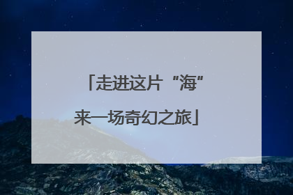 走进这片“海”来一场奇幻之旅