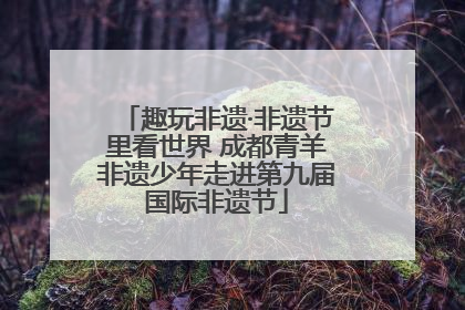趣玩非遗·非遗节里看世界 成都青羊非遗少年走进第九届国际非遗节