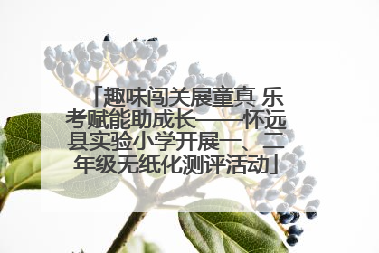 趣味闯关展童真 乐考赋能助成长——怀远县实验小学开展一、二年级无纸化测评活动