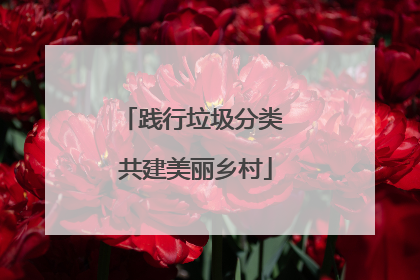 践行垃圾分类 共建美丽乡村
