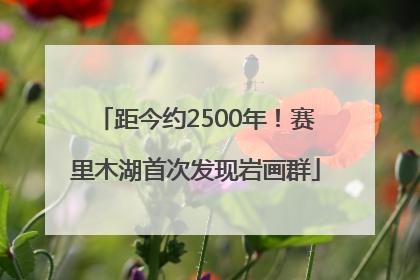 距今约2500年！赛里木湖首次发现岩画群