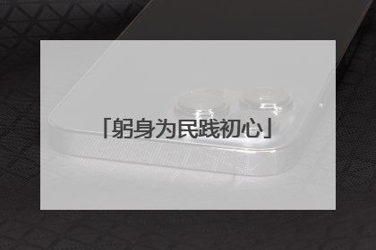 躬身为民践初心