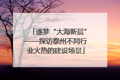 逐梦“大海新晨”——探访泰州不同行业火热的建设场景