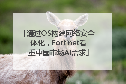 通过OS构建网络安全一体化，Fortinet看重中国市场AI需求