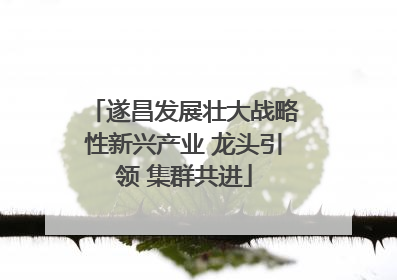 遂昌发展壮大战略性新兴产业 龙头引领 集群共进