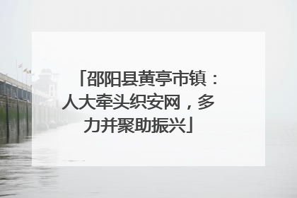 邵阳县黄亭市镇：人大牵头织安网，多力并聚助振兴