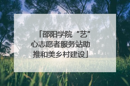 邵阳学院“艺”心志愿者服务站助推和美乡村建设