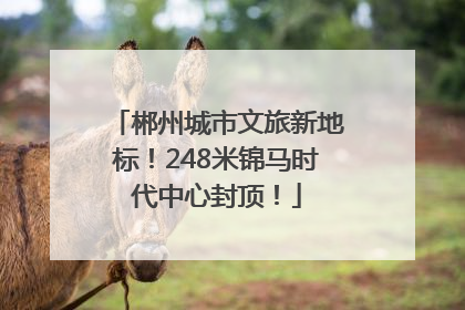 郴州城市文旅新地标！248米锦马时代中心封顶！