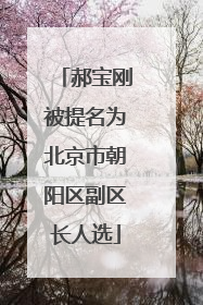 郝宝刚被提名为北京市朝阳区副区长人选