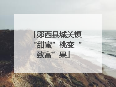 郧西县城关镇“甜蜜”桃变“致富”果