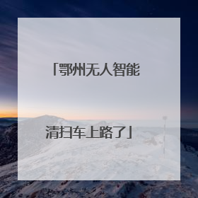 鄂州无人智能清扫车上路了