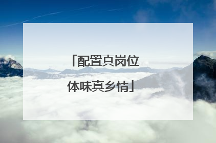 配置真岗位 体味真乡情