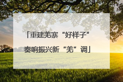 重建羌寨“好样子” 奏响振兴新“羌”调