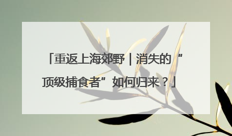 重返上海郊野｜消失的“顶级捕食者”如何归来？