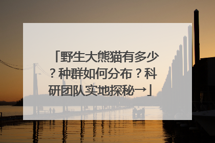 野生大熊猫有多少？种群如何分布？科研团队实地探秘→