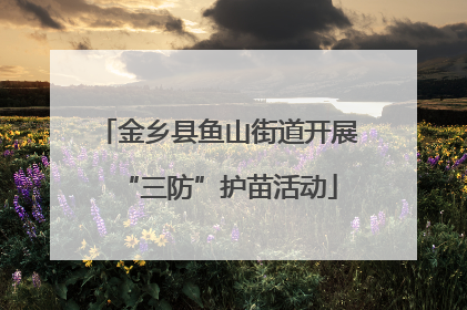 金乡县鱼山街道开展“三防”护苗活动