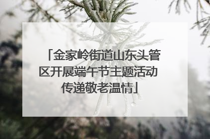 金家岭街道山东头管区开展端午节主题活动 传递敬老温情