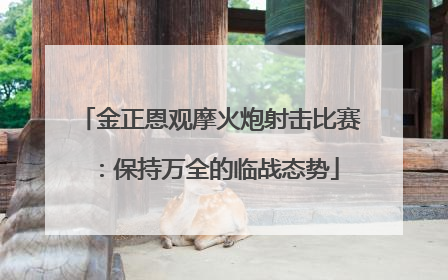 金正恩观摩火炮射击比赛：保持万全的临战态势