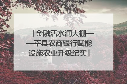 金融活水润大棚——莘县农商银行赋能设施农业升级纪实