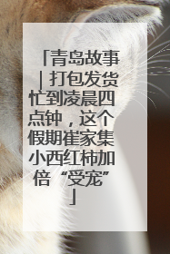 青岛故事｜打包发货忙到凌晨四点钟，这个假期崔家集小西红柿加倍“受宠”