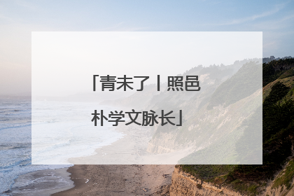 青未了丨照邑朴学文脉长