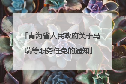青海省人民政府关于马瑞等职务任免的通知