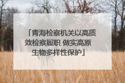 青海检察机关以高质效检察履职 做实高原生物多样性保护