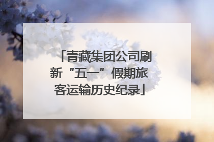 青藏集团公司刷新“五一”假期旅客运输历史纪录