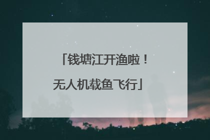 钱塘江开渔啦！无人机载鱼飞行