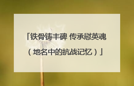 铁骨铸丰碑 传承慰英魂（地名中的抗战记忆）