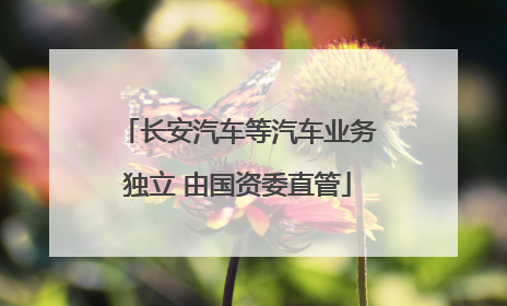 长安汽车等汽车业务独立 由国资委直管