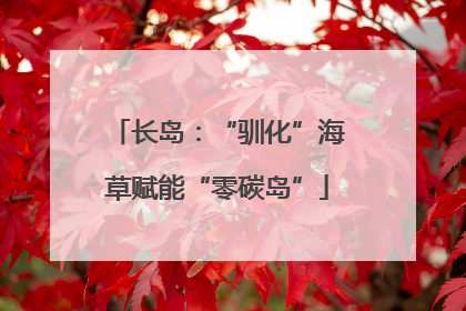 长岛：“驯化”海草赋能“零碳岛”