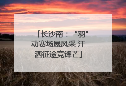 长沙南：“羽”动赛场展风采 汗洒征途竞锋芒