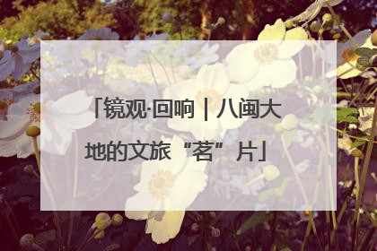 镜观·回响｜八闽大地的文旅“茗”片